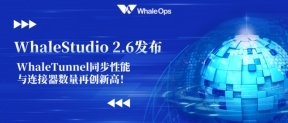 WhaleStudio 2.6 ʽl(f)WhaleTunnel ͬcB(sh)ل(chung)¸ߣ